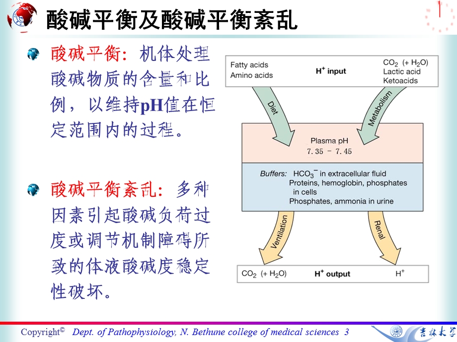 七科联考病理生理学第四章酸碱平衡紊乱2课件.ppt_第3页