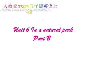 人教PEP版英语五上《Unit6InaNaturePark》PartB课件.ppt