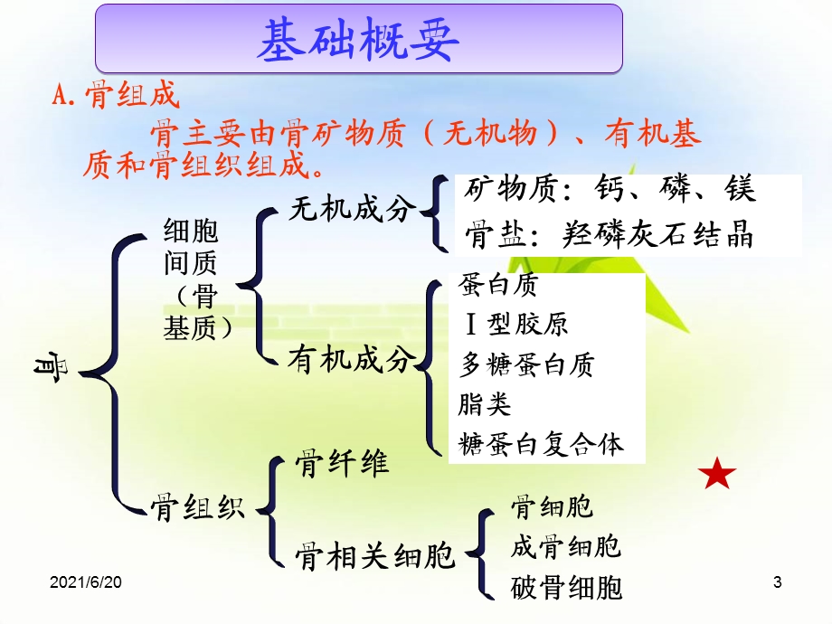 【教学课件】第十二章 骨代谢异常的生物化学诊断.ppt_第3页