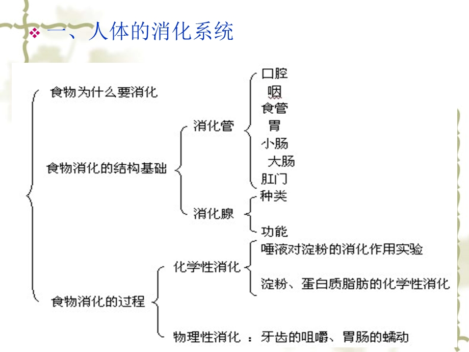 二章医学基础知识课件.pptx_第3页