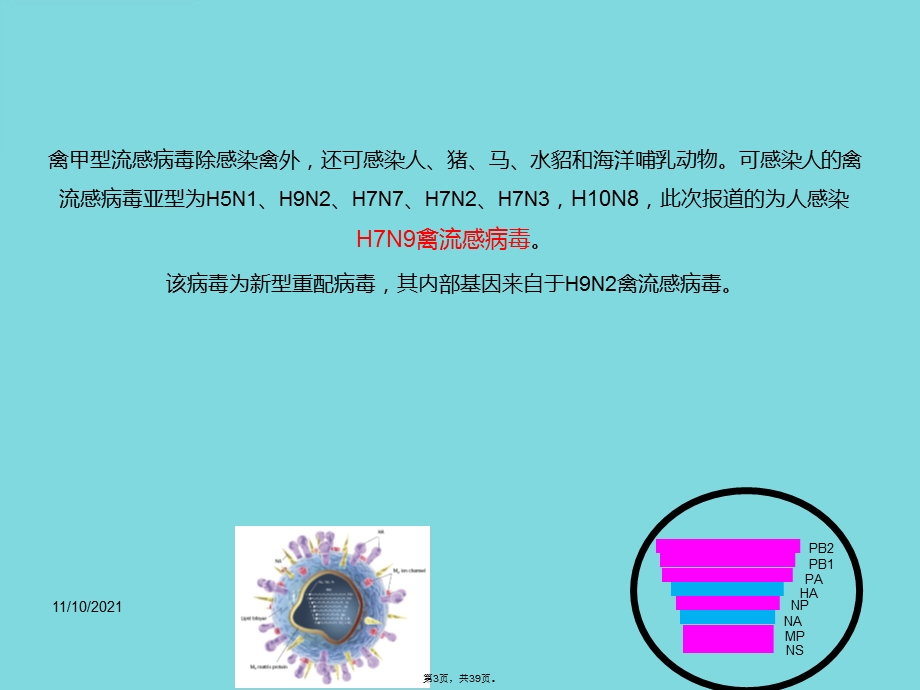 人感染HN禽流感诊疗方案版本(共39张)课件.pptx_第3页