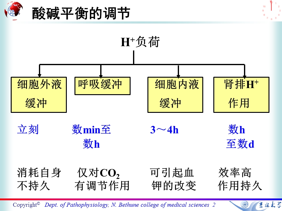 七科联考病理生理学第四章酸碱平衡紊乱1课件.ppt_第2页