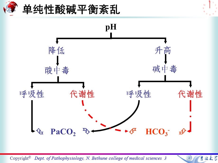 七科联考病理生理学第四章酸碱平衡紊乱1课件.ppt_第3页