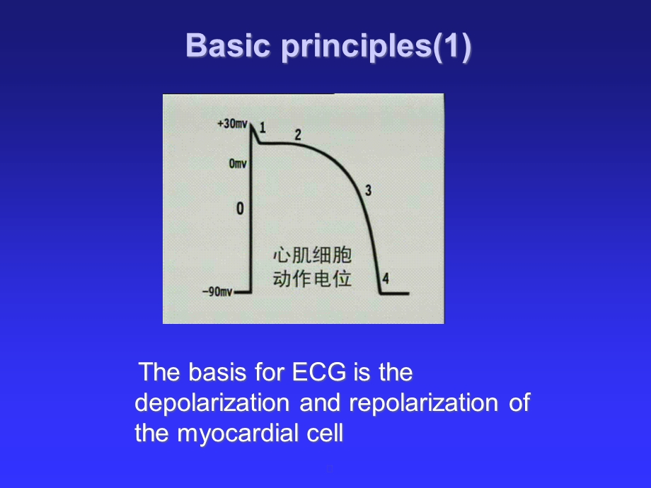 临床诊断学心电图正常课件.ppt_第3页