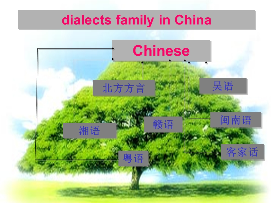 人教版英语必修一unit2reading课件.ppt_第3页