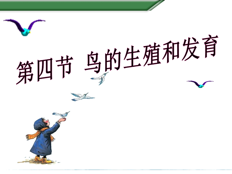 人教版鸟的生殖和发育课件.ppt_第1页