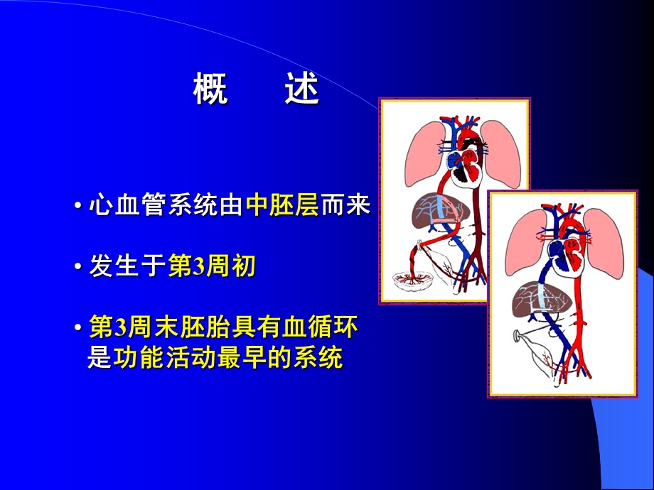 人体组织学与胚胎学(之心脏发生)课件.ppt_第2页