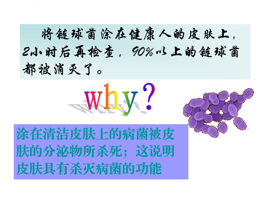 人体的免疫功能课件.ppt_第3页