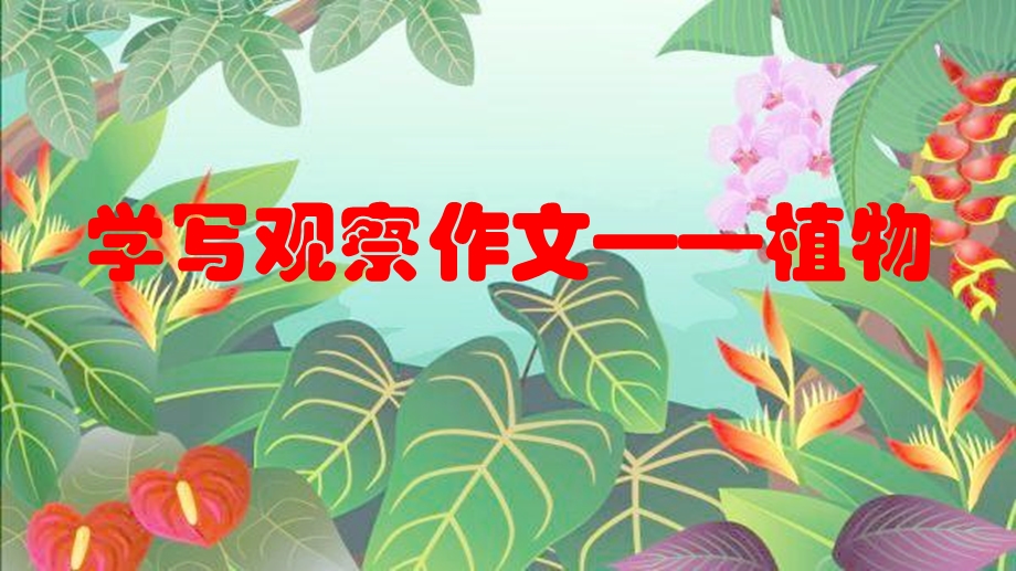 人教版小学语文四年级上册《习作学写观察作文——植物》课件.pptx_第1页