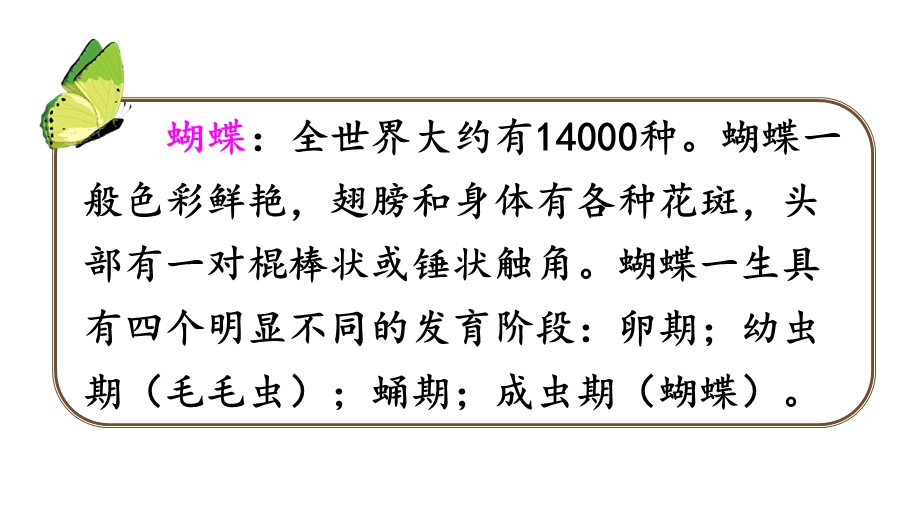 人教版部编版二年级语文下册22小毛虫课件.ppt_第2页