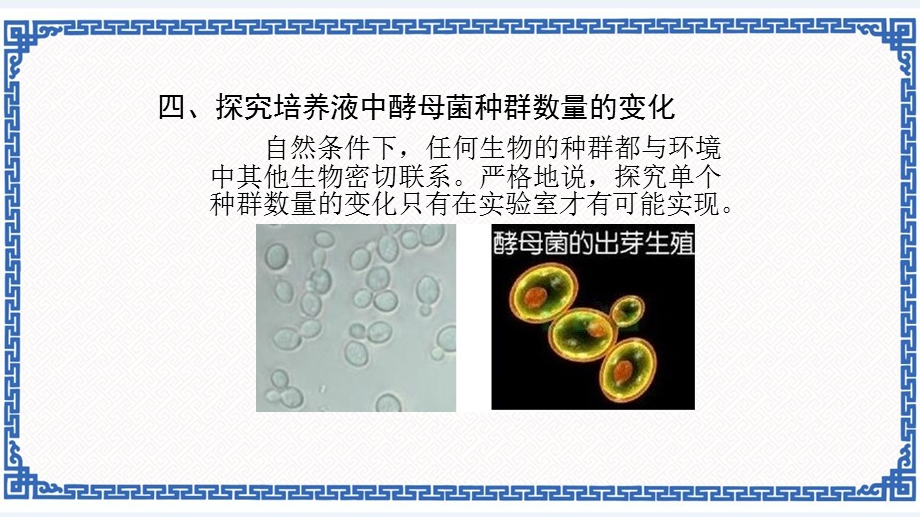 人教版高二生物选择性必修2第2节种群数量的变化(第二课时)课件牛老师.pptx_第2页