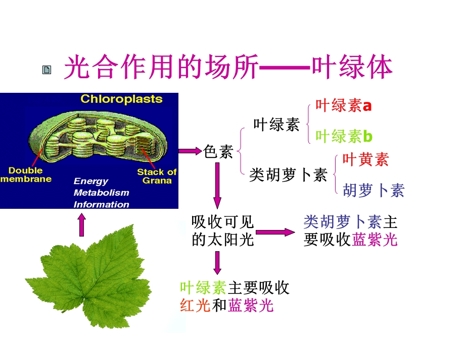 人教版教学第五章第三四节细胞呼吸与光合作用复习(共45张)课件.pptx_第3页