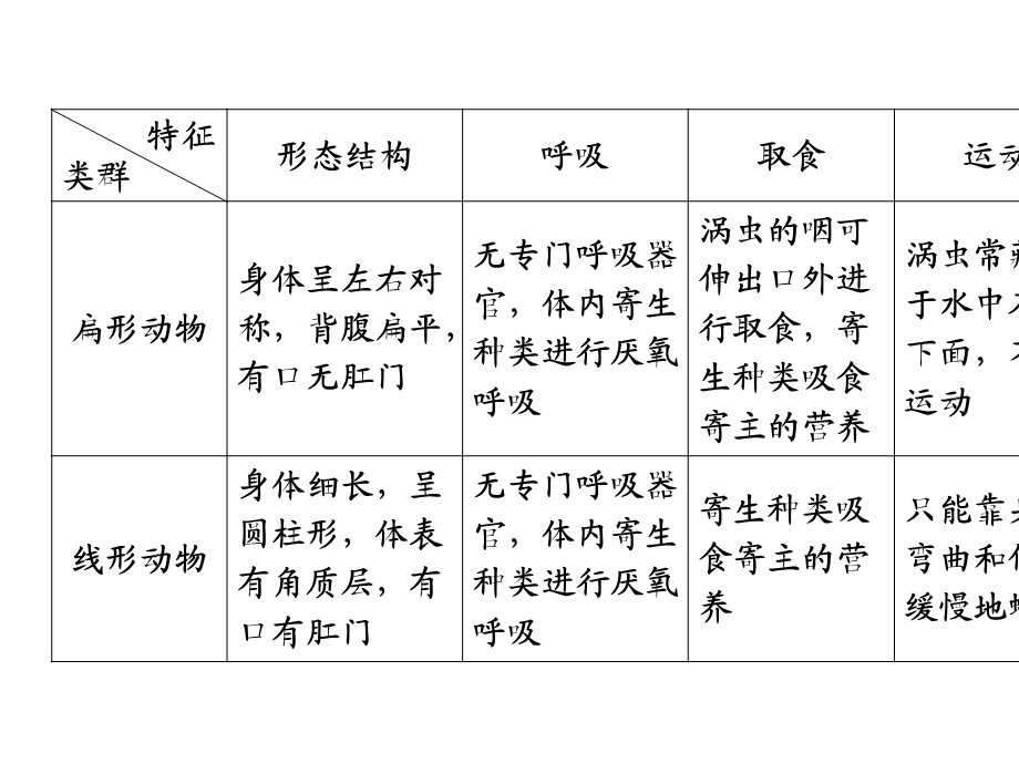 人教版七年级上册生物知识点精讲课件动物的主要类群.pptx_第3页