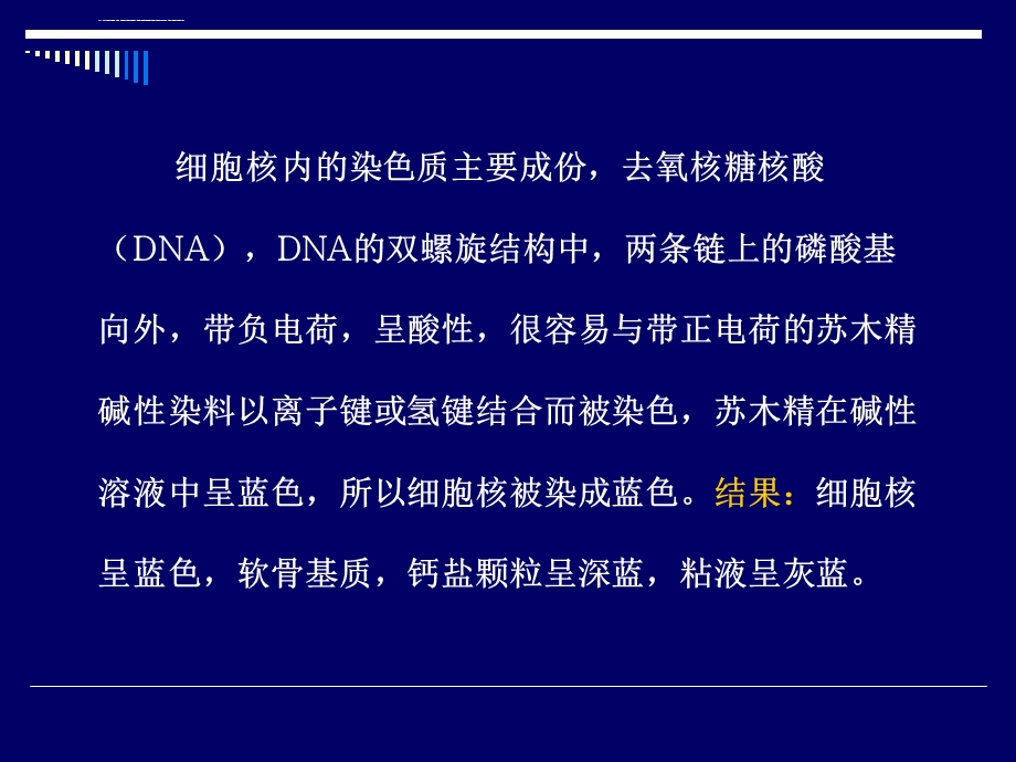 HE的染色基本原理ppt课件.ppt_第3页