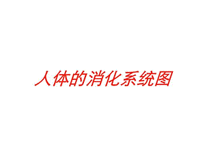 人体的消化系统图培训课件.ppt