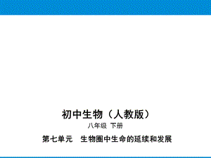 人教版八年级下册生物培优课件——第七单元第二章第二节基因在亲子代间的传递.pptx