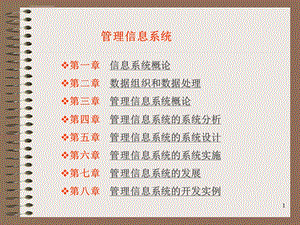 《信息管理系统》PPT课件.ppt