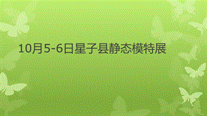 10月56日星子县十一温泉大酒店静态模特展ppt课件.pptx