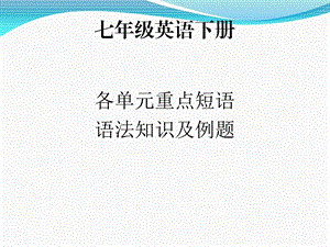 人教版七年级英语下册期中复习课件.pptx