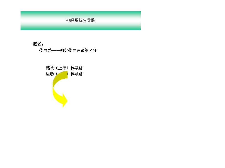 人体解剖学临床传导路课件.ppt_第3页