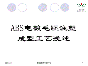 ABS电镀毛胚注塑成型工艺ppt课件.ppt