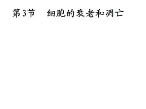 人教版高一生物必修一第六章第三节细胞的衰老和凋亡课件.ppt