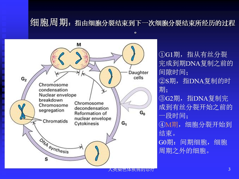 人类染色体疾病的诊疗培训课件.ppt_第3页