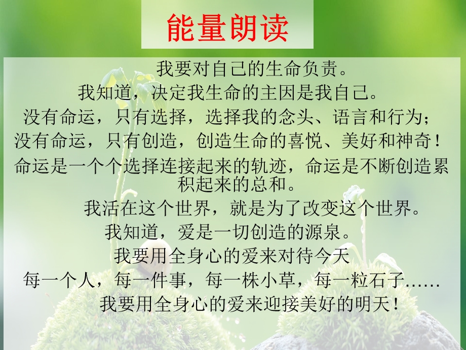 校园霸凌课件.ppt_第2页