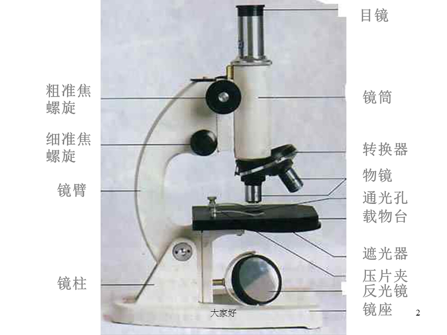 人教版七年级生物植物细胞课件.ppt_第2页