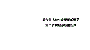 人教版七年级生物下册课件第六章第二节神经系统的组成.ppt