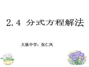 数学：2.4分式方程课件(2)(鲁教版八年级上).ppt