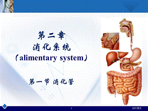 人体解剖消化系统胃课件.ppt