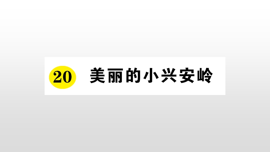 人教部编版三年级上册语文习题第六单元美丽的小兴安岭课件.ppt_第1页