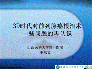 3D时代对前列腺癌根治术一些问题的再认识ppt课件.pptx