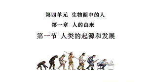 人教版七年级生物下册人类的起源和发展课件.ppt