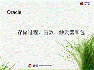 Oracle存储过程、函数、触发器和包ppt课件.ppt