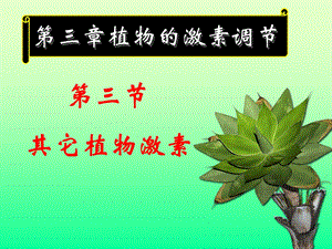 《其他植物激素》ppt课件.ppt