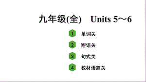 人教版中考英语词汇复习——九年级(全)Units5～6课件.ppt