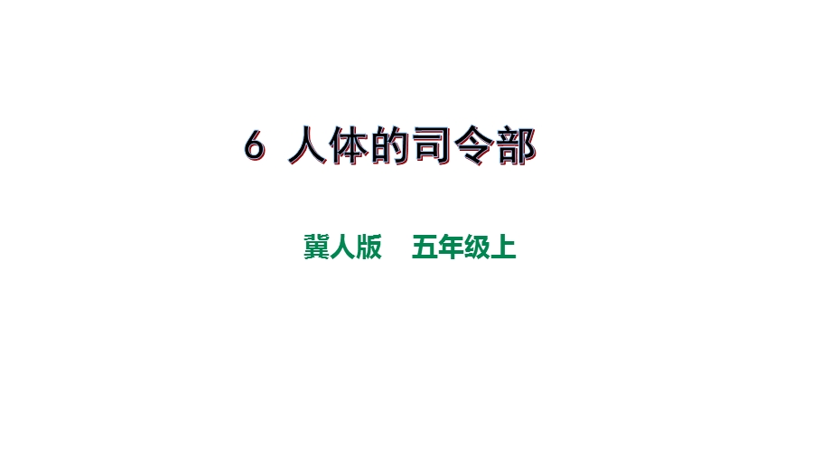 人体的司令部课件.pptx_第1页