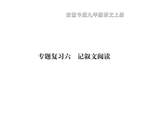 人教部编版九年级语文上册专题复习6记叙文阅读课件.ppt