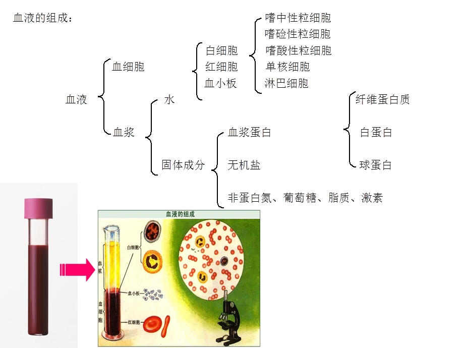 [诊断学]临床血液学检测 血液一般检测ppt课件.ppt_第2页