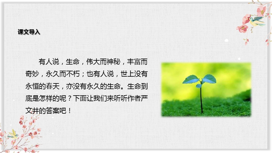 人教部编版八年级语文上册优质课件《永久的生命》.ppt_第2页