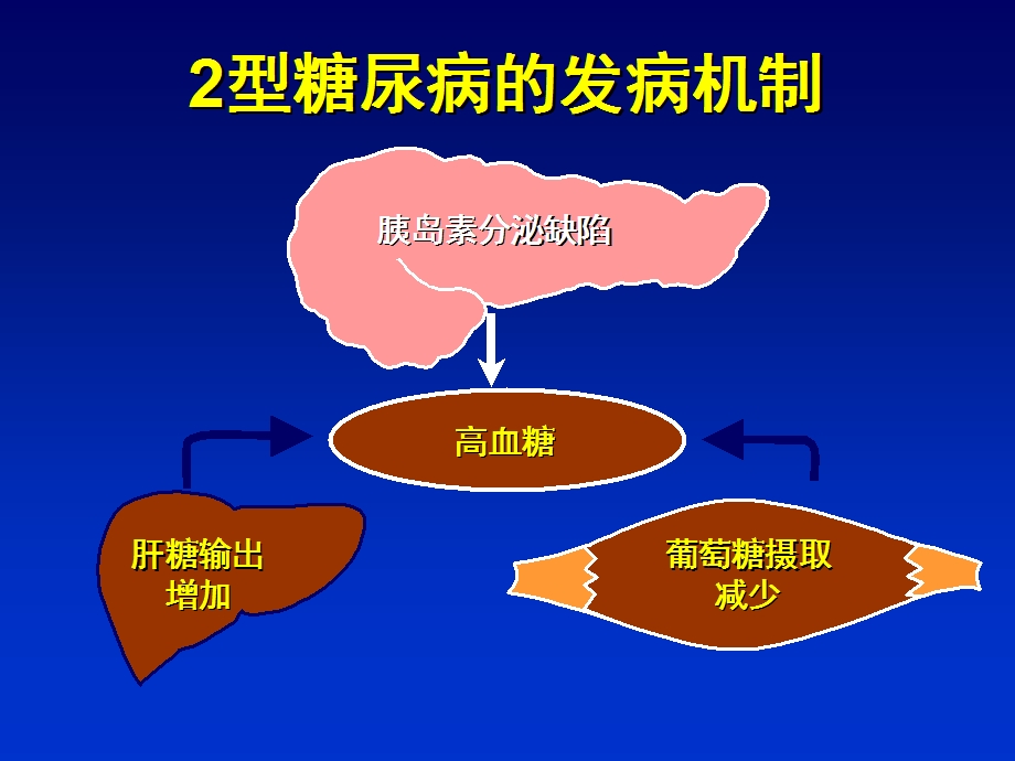 2型糖尿病口服降糖药及胰岛素的应用ppt课件.ppt_第3页