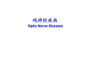 眼科学课件：视神经及视路疾病.ppt