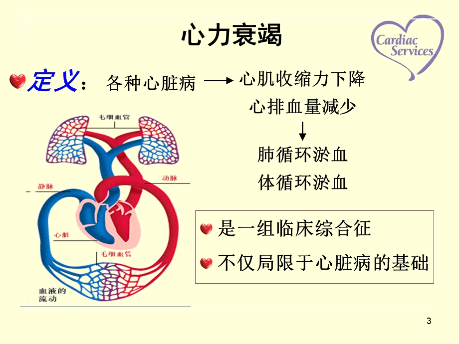 心力衰竭病人的护理查房ppt课件.ppt_第3页