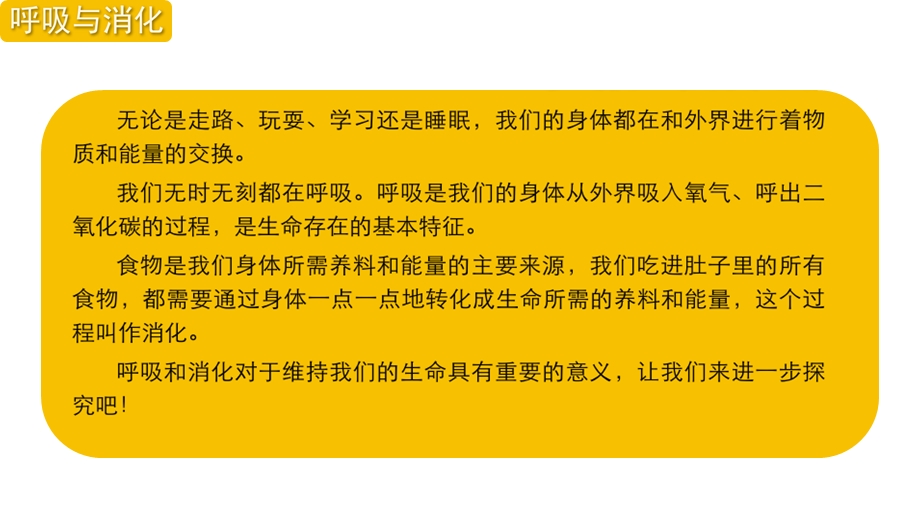 新教科版四年级上册科学第二单元《呼吸与消化》单元知识整理汇总课件.pptx_第3页