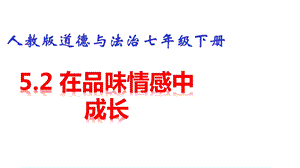 人教版《道德与法治》七年级下册52在品味情感中成长复习课件.pptx