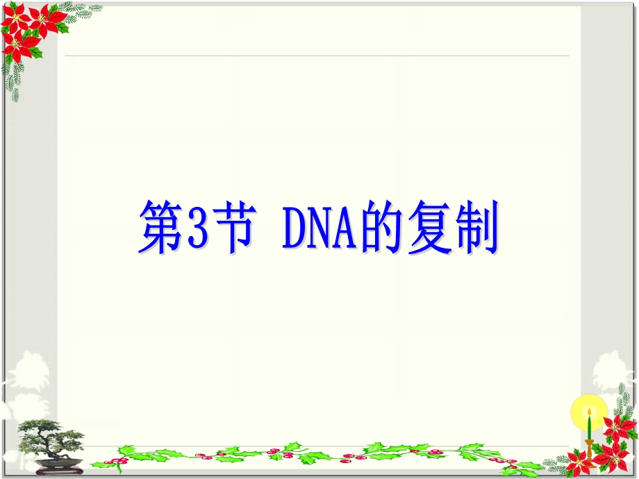 DNA的复制(动画)解读ppt课件.ppt_第1页