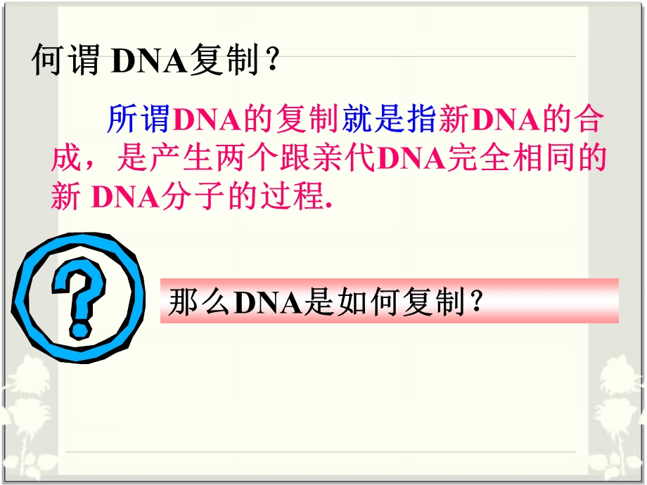 DNA的复制(动画)解读ppt课件.ppt_第3页