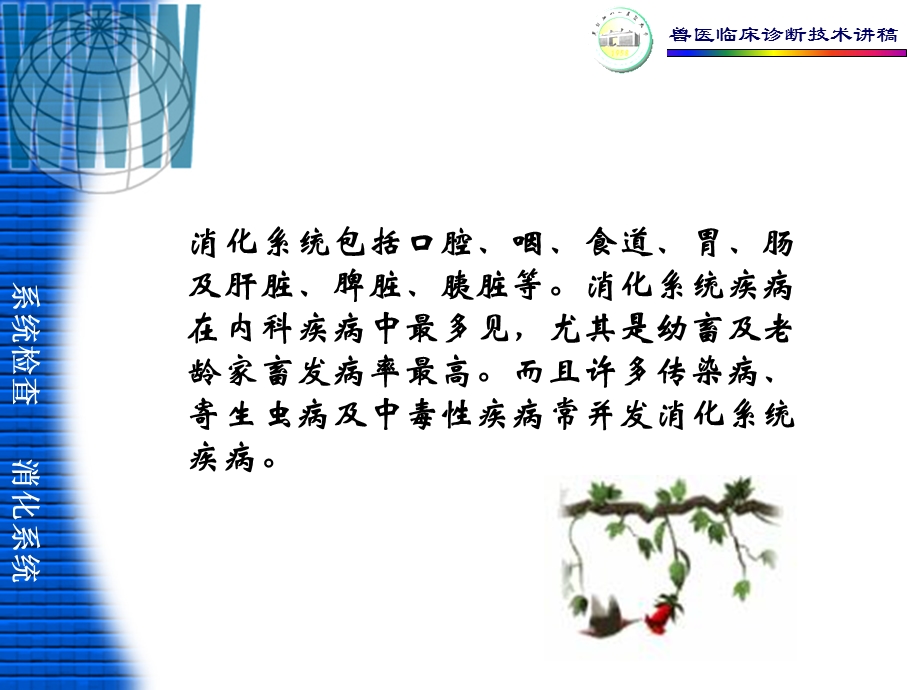 三章消化系统的检查课件.ppt_第2页